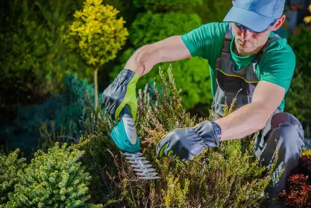 landscaping services Audubon Park